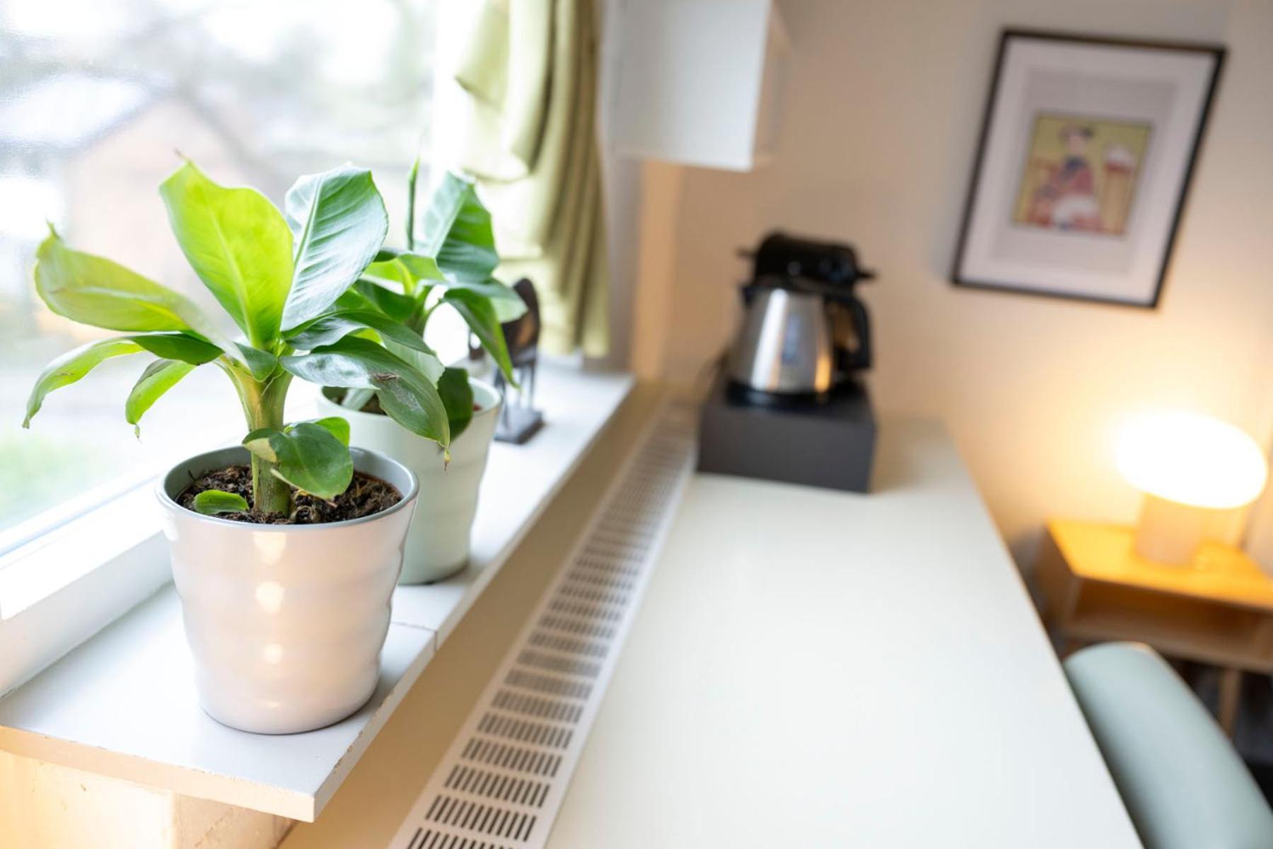 B&B De Dream Leeuwarden Kültér fotó