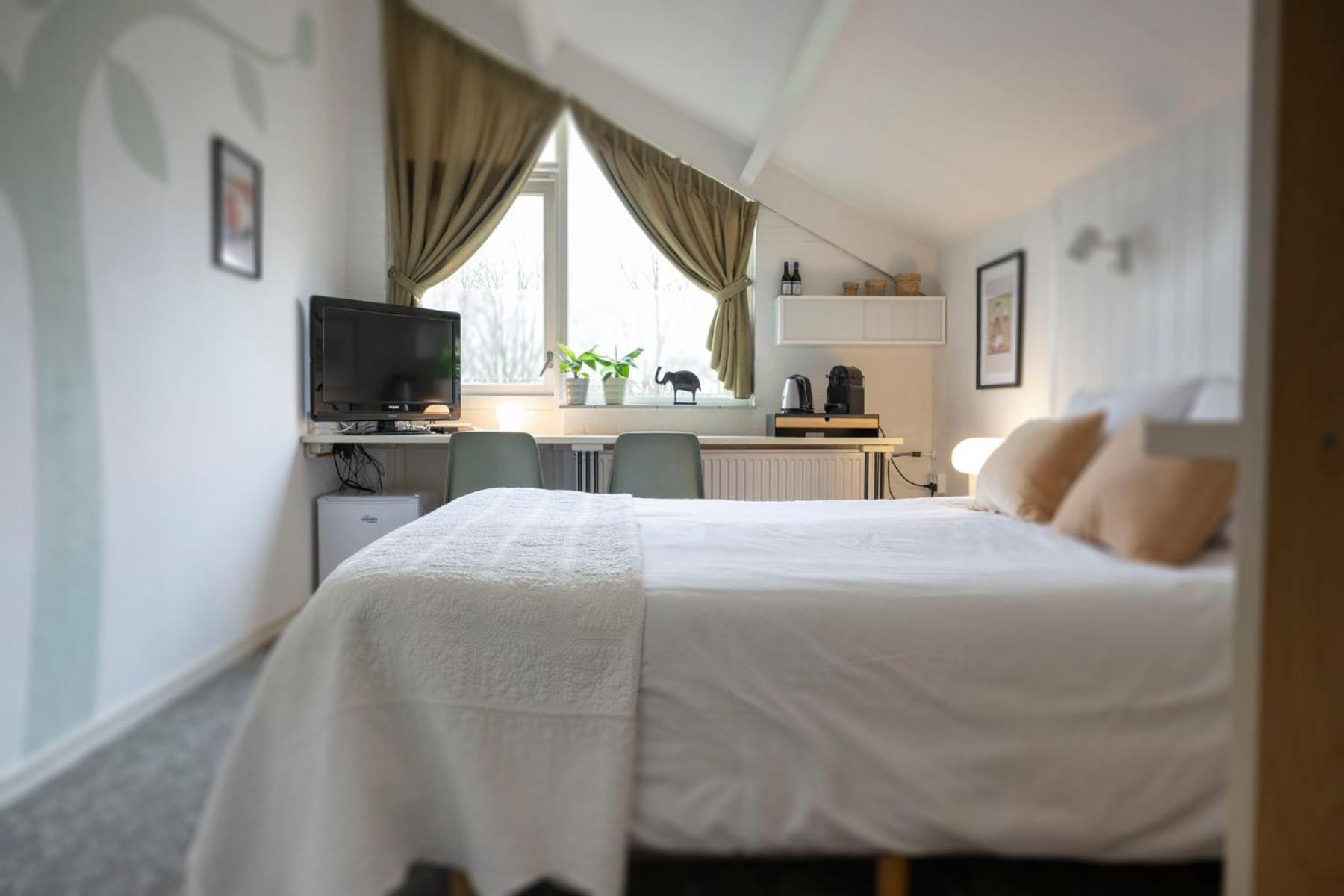 B&B De Dream Leeuwarden Kültér fotó